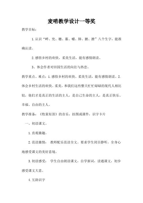 麦哨教学设计一等奖