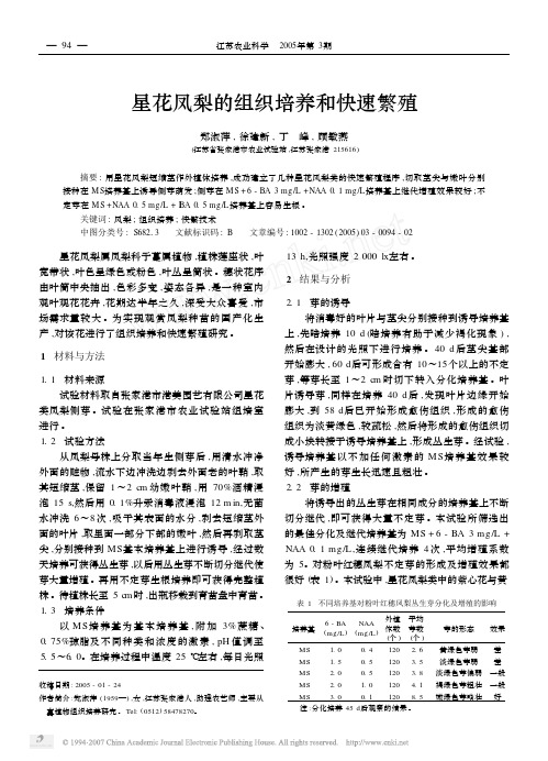 星花凤梨的组织培养和快速繁殖