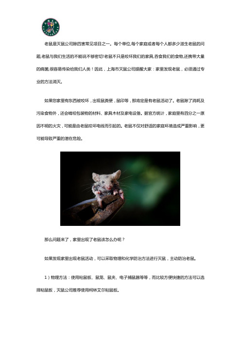 上海市灭鼠公司教您如何快速消灭老鼠