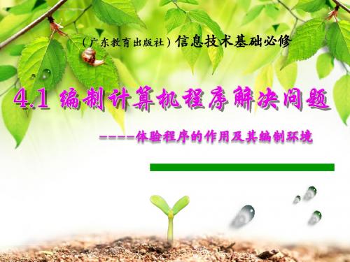 粤教版高中信息技术基础必修《4.1编制计算机程序解决问题(2)》课件