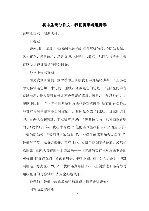 初中生满分作文：我们携手走进青春