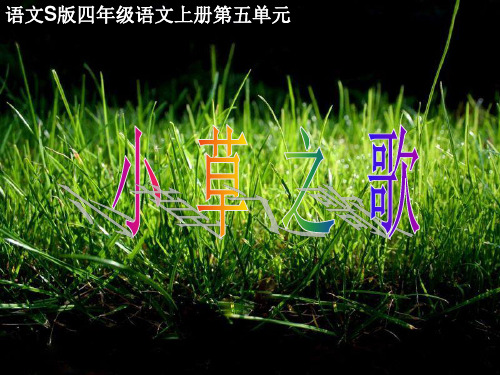 四年级语文上册小草之歌2课件语文S版