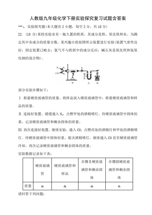 人教版九年级化学下册实验探究复习试题含答案