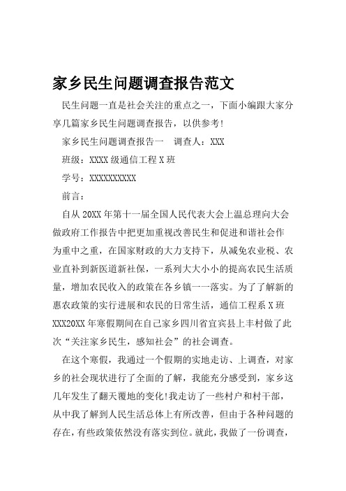 家乡民生问题调查报告范文