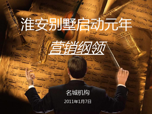 淮安项目管理及营销推广管理知识建议分析报告