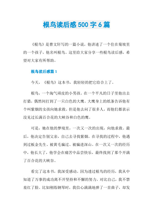 根鸟读后感500字6篇