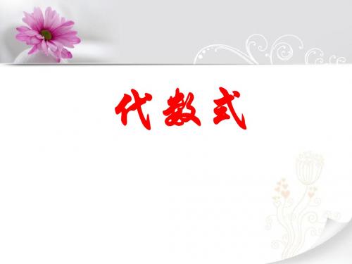 冀教版七年级数学上册《代数式》课件