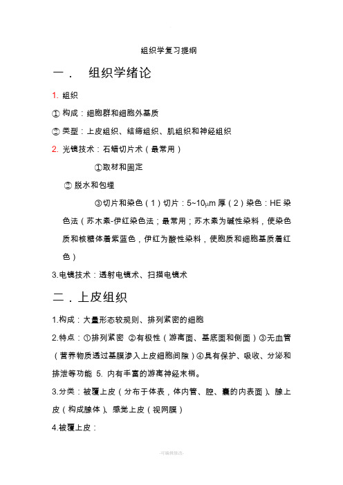组织学知识点