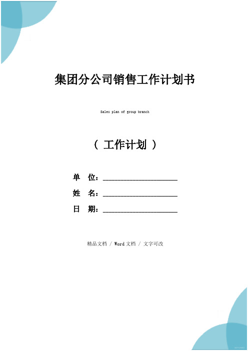集团分公司销售工作计划书
