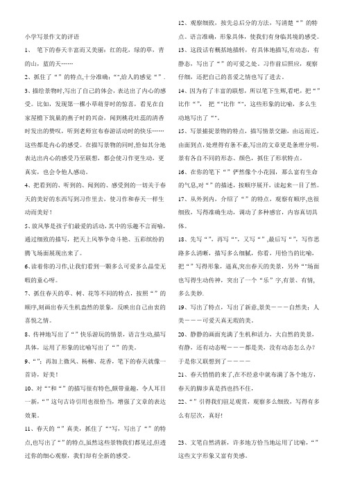 小学写景作文的评语