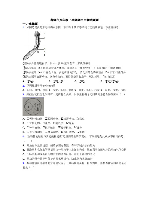 菏泽市八年级上学期期中生物试题题