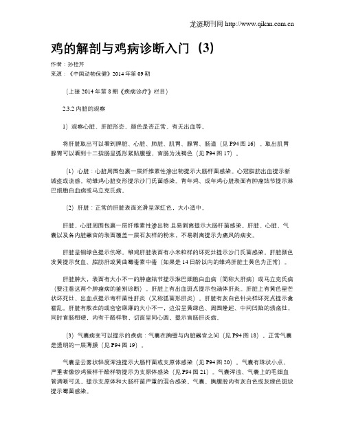 鸡的解剖与鸡病诊断入门(3)