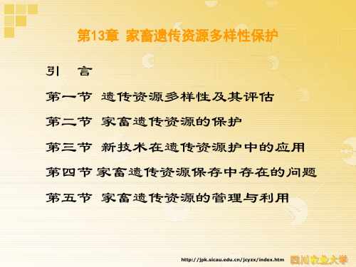 家畜育种学13家畜遗传资源多样性保护
