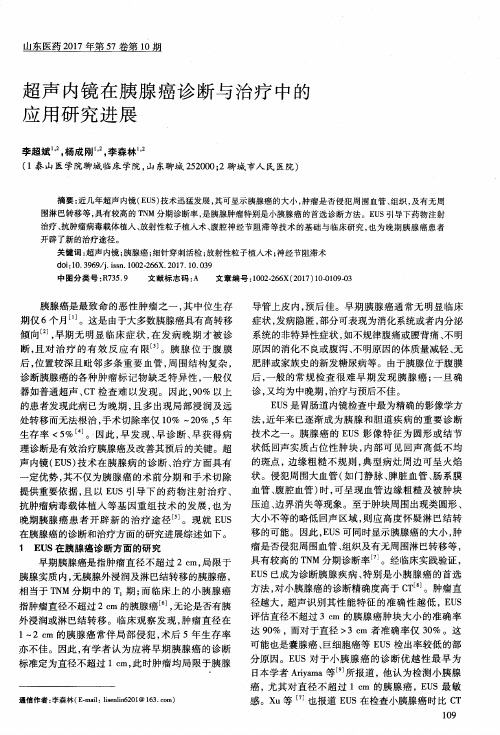 超声内镜在胰腺癌诊断与治疗中的应用研究进展