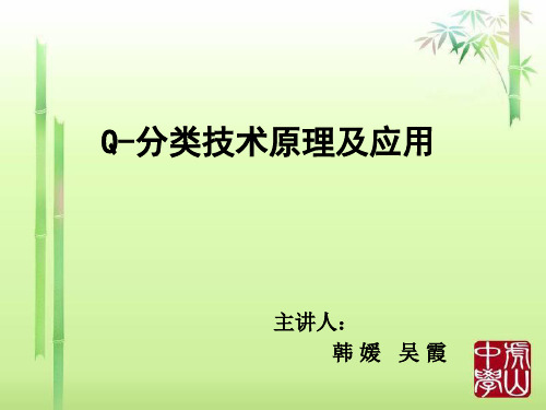 Q分类