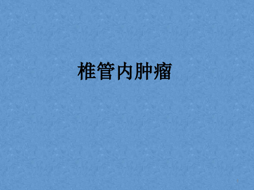 椎管内肿瘤 (1)