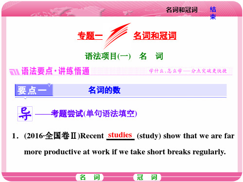 人教版2018届高三英语一轮语法复习：专题一  名词和冠词 (共91张PPT)