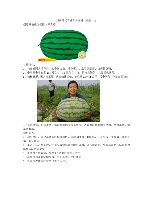 鼎优西瓜品种-鼎盛一号