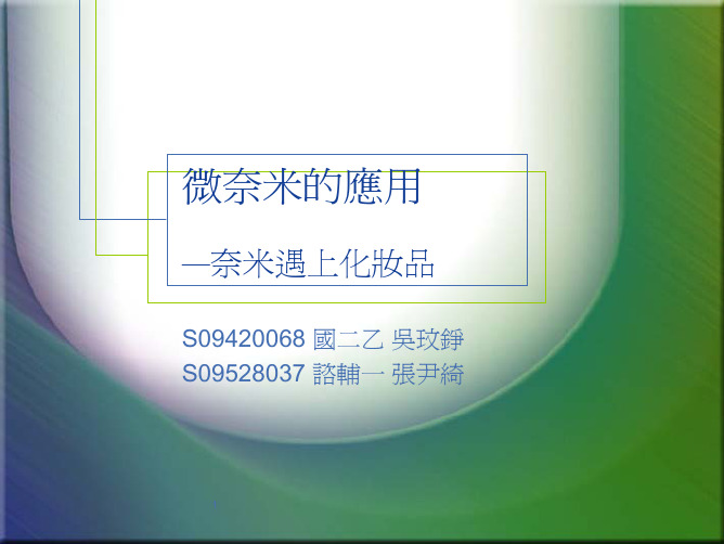 科技与生活报告-微奈米的应用