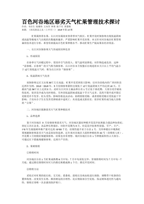 百色河谷地区恶劣天气杧果管理技术探讨