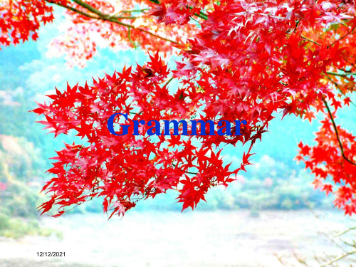 高中英语module5alessoninalabgrammar