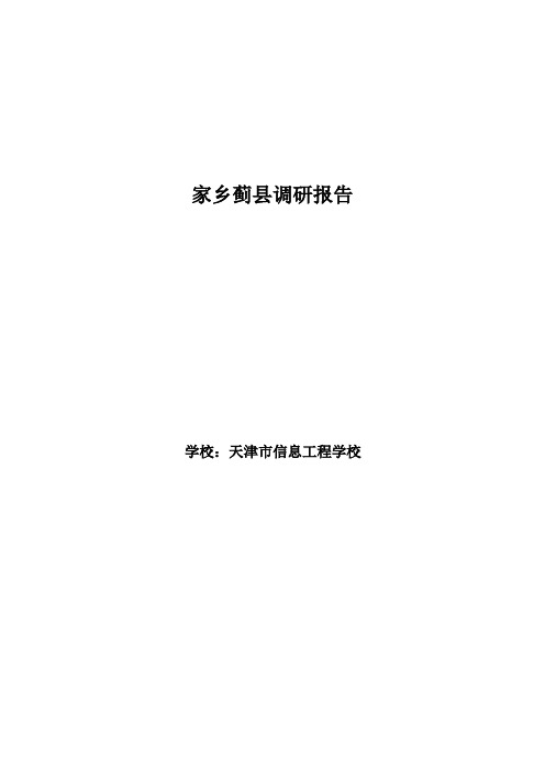 美丽蓟州调查报告