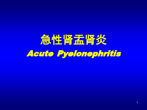 急性肾盂肾炎ppt课件