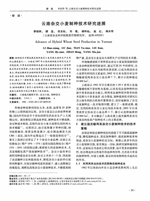 云南杂交小麦制种技术研究进展