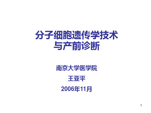 (精选)分子细胞遗传学技术