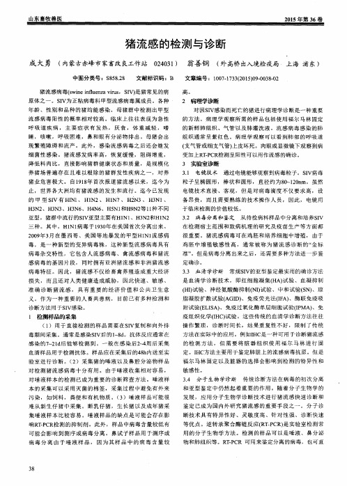 猪流感的检测与诊断
