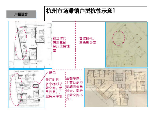 杭州天名项目户型建议41p