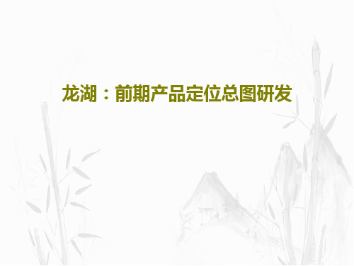 龙湖：前期产品定位总图研发共84页文档