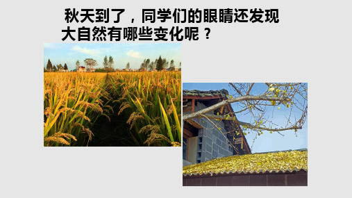 古诗三首赠刘景文PPT课件