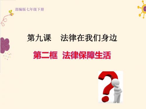 9.2 法律保障生活 课件(31张PPT)