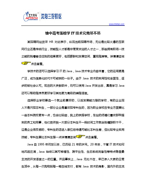 高考落榜学IT技术究竟吊不吊