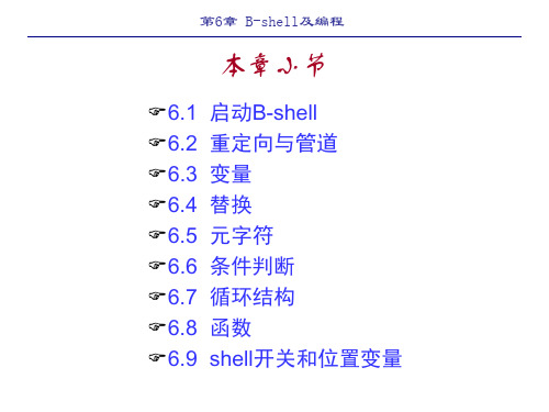 第6章Bshell及编程