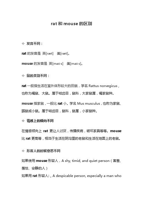 rat和mouse的区别