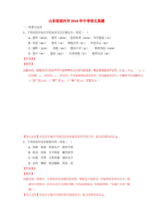 山东省滨州市2016年中考语文真题(含解析)