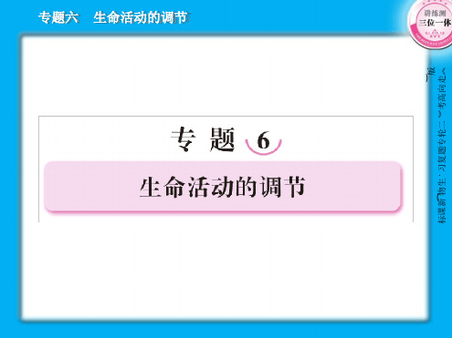 6 1动物与人体生命活动调节及人体稳态的维持 课件