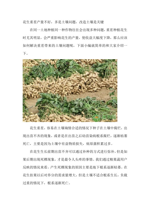 花生重茬出现的问题