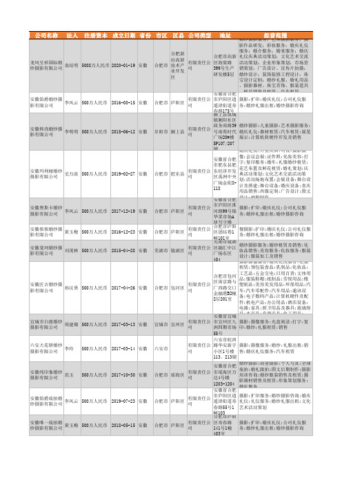2021年安徽省婚纱摄影行业企业名录3995家