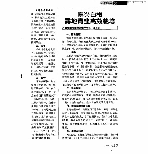 嘉兴白根露地青韭高效栽培