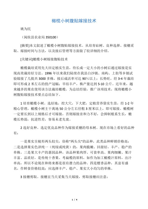 橄榄小树嫁接技术要点