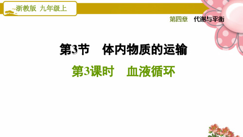 浙教版九年级科学上册4.3.3 血液循环ppt课件