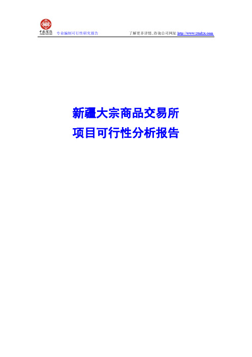 新疆大宗商品交易所项目可行性分析报告