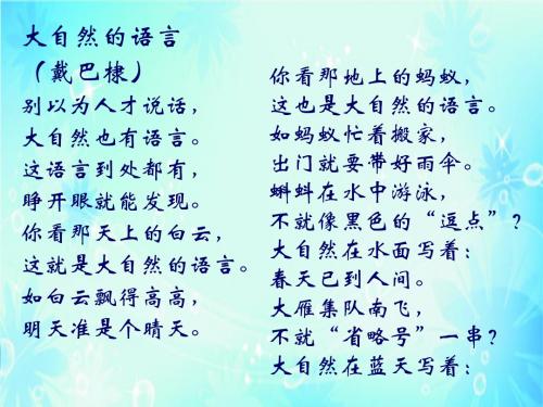 苏教版六年级语文上册课件：24 大自然的文字