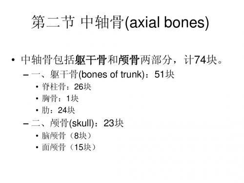 第二节 中轴骨(axial
