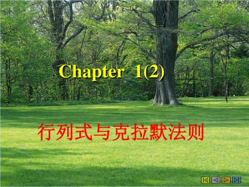 chapter行列式与克拉默法则