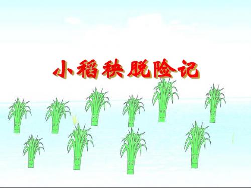 18、小稻秧脱险记ppt(1)