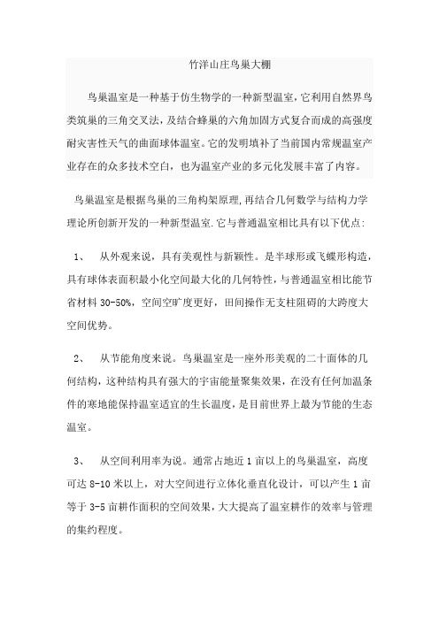竹洋山庄鸟巢大棚